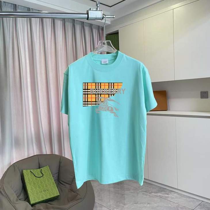 Picture of Burberry T Shirts Short _SKUBurberryS-2XLhgntx6619820